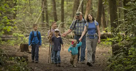 A Family’s Guide to Outdoor Adventures in the Great Smoky Mountains