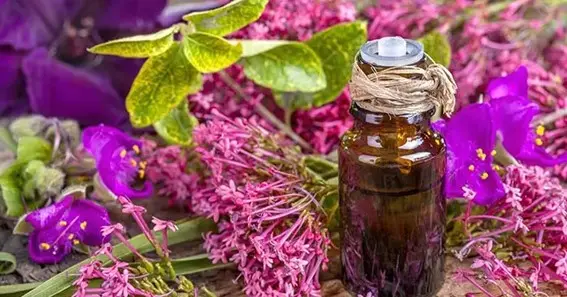 Clary Sage Oil: Your Natural Solution for Beating Depression and Anxiety