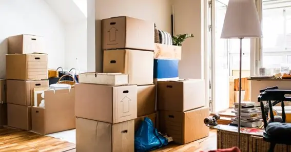 Minimalist Moving: Strategies for a Simplified Relocation