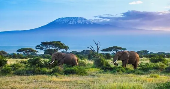 Why Tanzania Should Be Next On Your Travel List