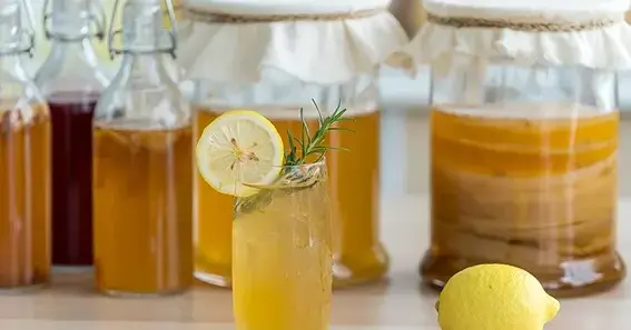 Why Kombucha Might Help