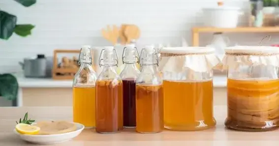 How to Use Kombucha for Hangovers